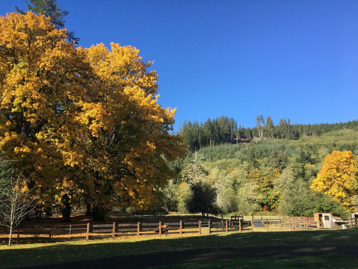 The Cabins At Beaver Creek Esterno foto